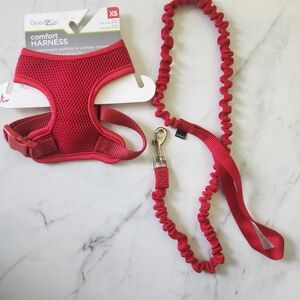 XS red harness with bungie leash
